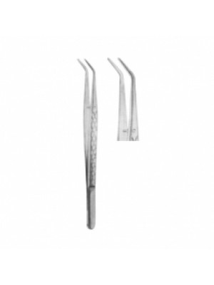 Dental Tweezers